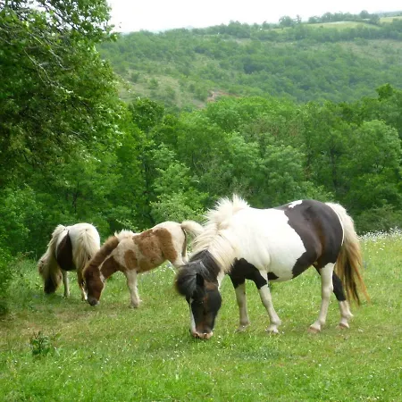 Domaine De Sautou